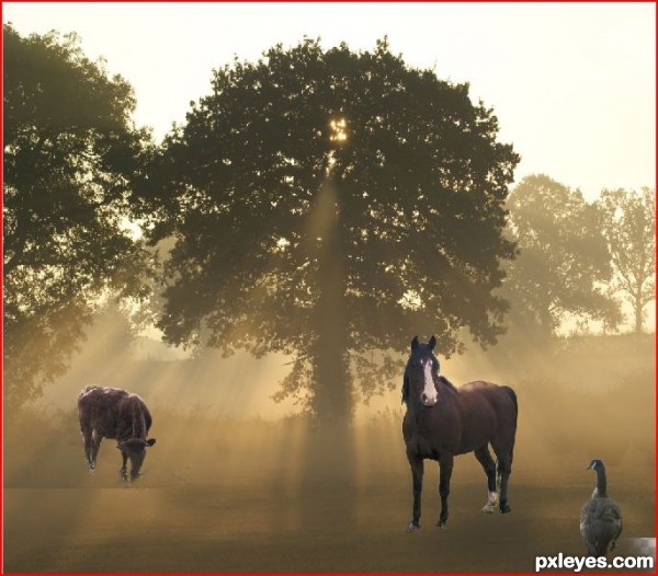 Creation of Misty Morning: Step 3